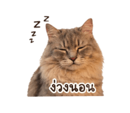 838300747