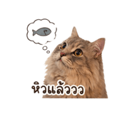 838300752