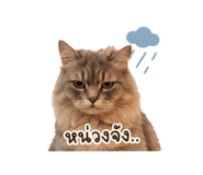 838300755