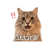 838300756