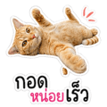 838301050