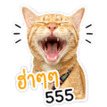 838301057