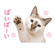 838301498