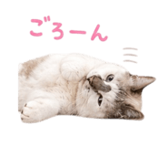 838301499