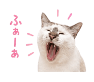 838301501