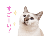 838301506