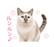 838301508