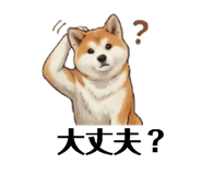 838302027