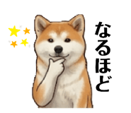 838302029