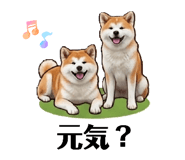 838302044