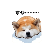 838302046