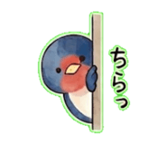 838305384