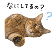 838305636
