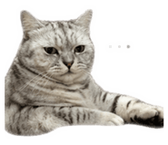 838307887