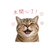 838308334