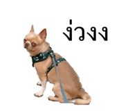 838309912