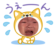 838311084