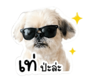 838312484