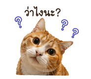 838313149