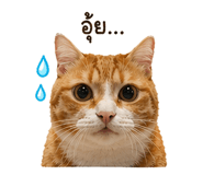 838313150