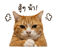 838313156