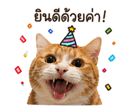 838313159