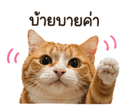 838313165