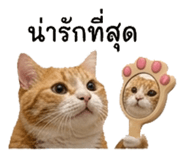 838313167