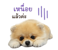 838315921