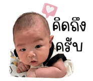 838316462