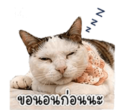 838317302