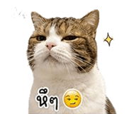 838317306