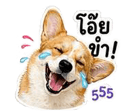 838317313