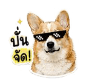 838317314