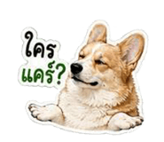 838317315