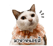 838317325