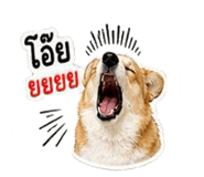 838317328