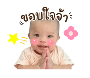 838317838