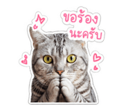 838318646