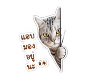 838318650