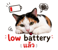 838320070