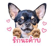 838320333