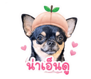 838320343