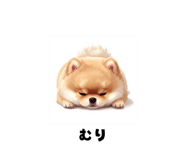 838322058