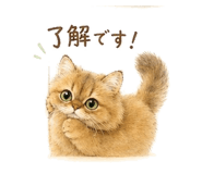 838325078