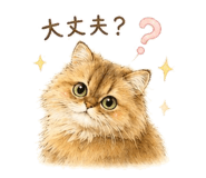 838325079