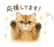 838325093