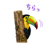 838325167