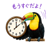 838325181