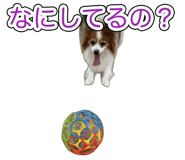 838325646